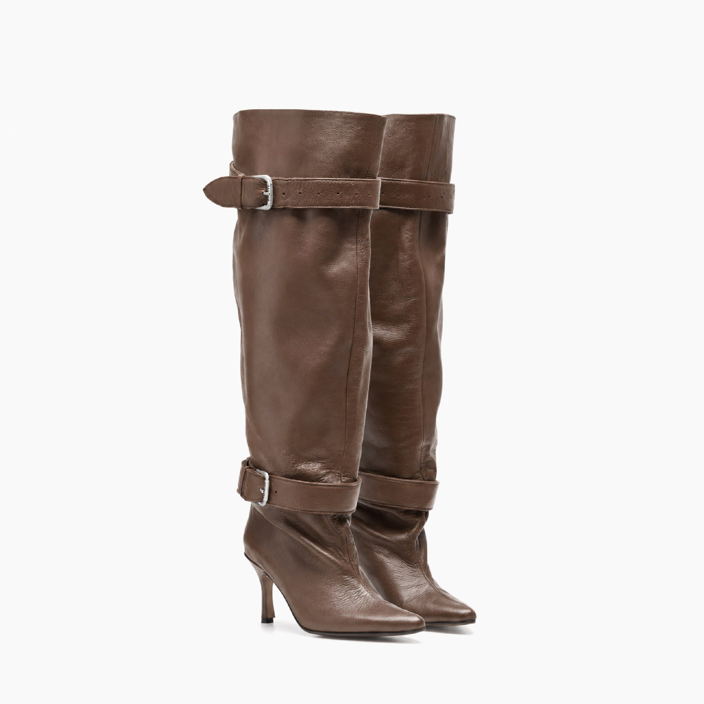 BOTA DOMINANT CHOCOLATE